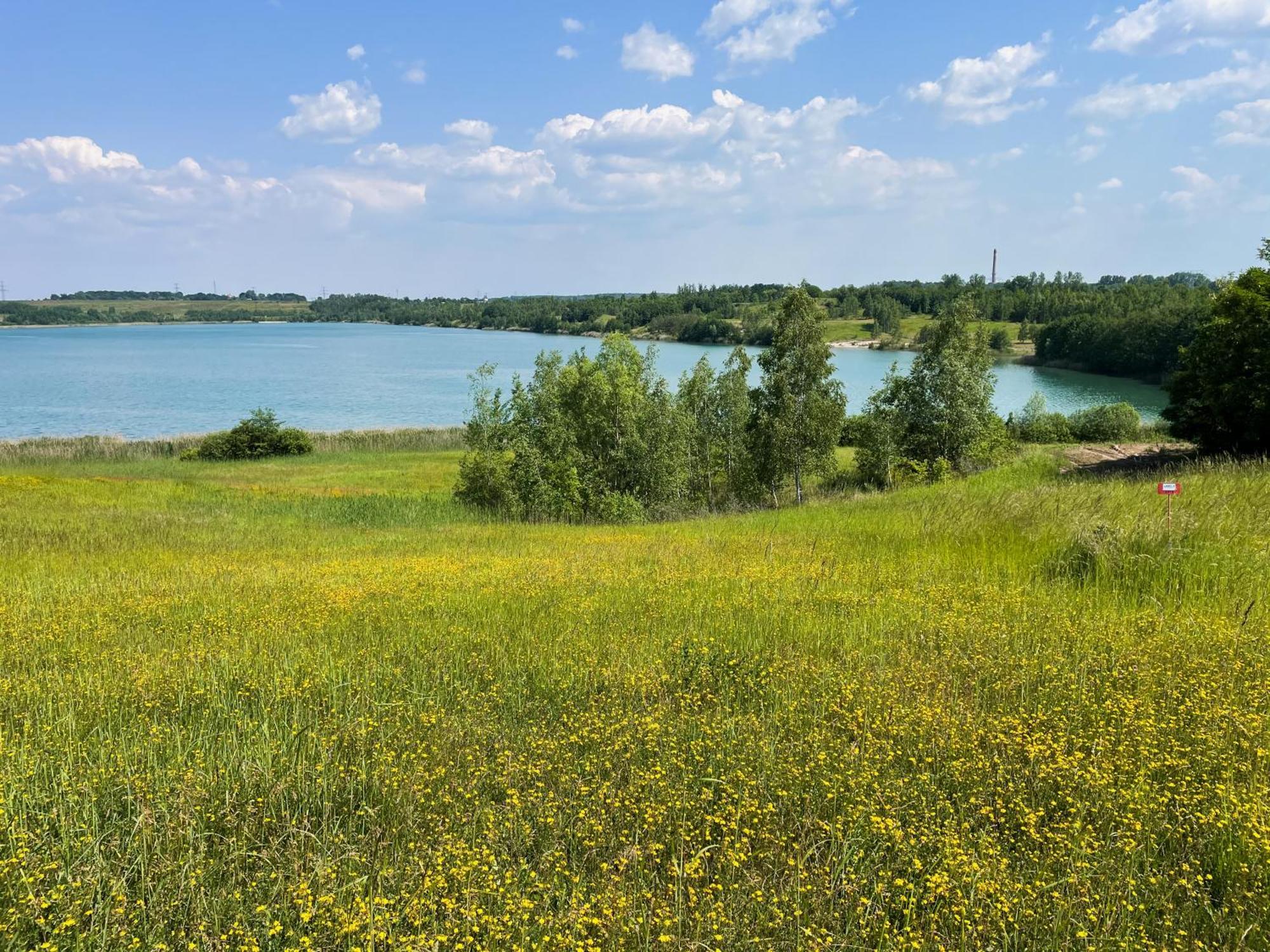 Haus Im Schilf 1 - Ferienwohnungen Am Hainer See Bei Leipzig Neukieritzsch Kültér fotó